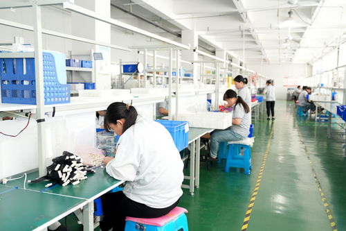 濰坊綜合保稅區 深化金融服務創新，無形資產變“真金白銀”，技術服務助力企業發展