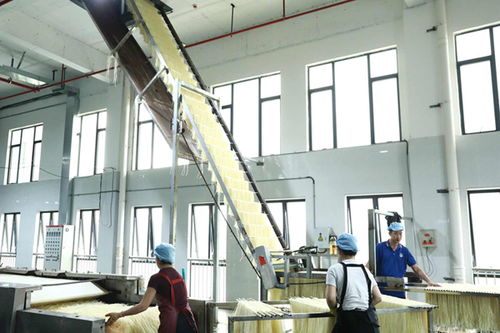 柳江區 精準創新雙輪驅動，食藥產業強音奏響技術服務新篇章