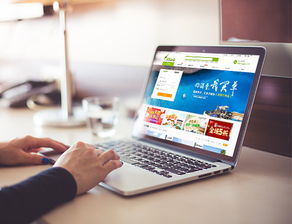 創(chuàng)研科技 專業(yè)營銷型網(wǎng)站建設(shè)與移動開發(fā)服務(wù)